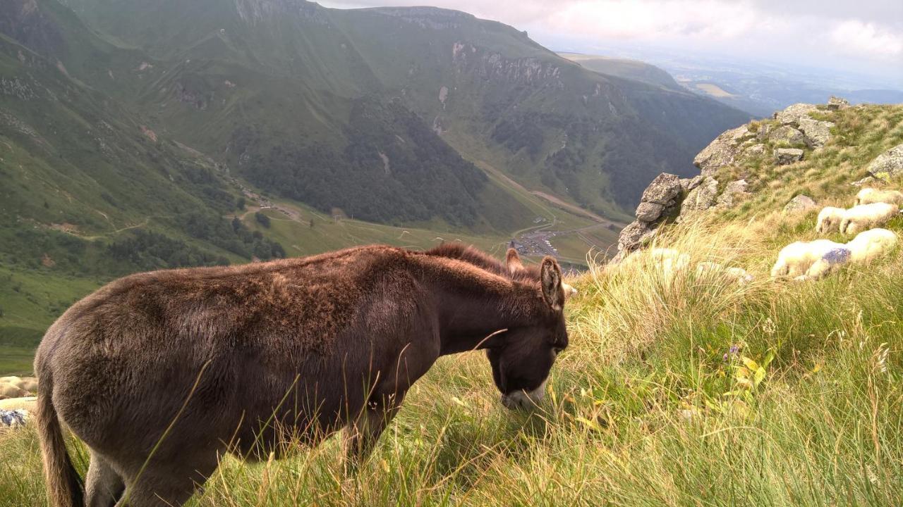 Camping Les Vernieres La Bourboule Sancy Buitenkant foto